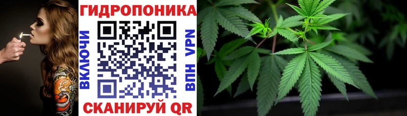 Магазины продажи наркотиков Шали Конопля МЕФ Амфетамин МЕТАДОН СОЛЬ Гашиш