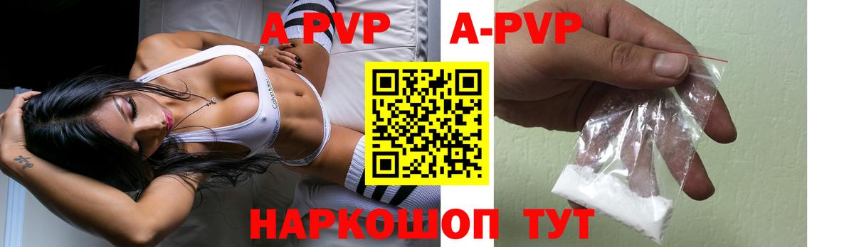 A-PVP СК КРИС Шали