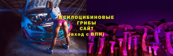индика Новокубанск