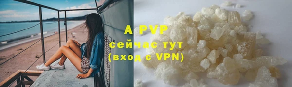 индика Новокубанск