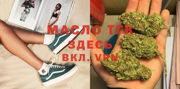 индика Новокубанск