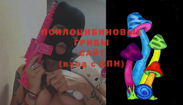 Альфа ПВП Новозыбков