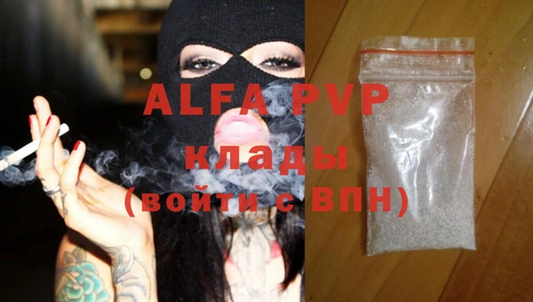 индика Новокубанск