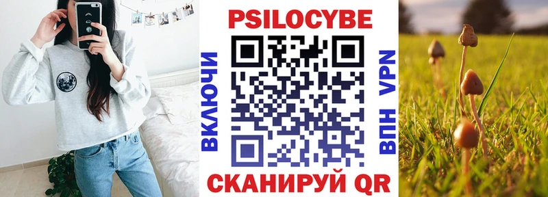 Галлюциногенные грибы Psilocybe  Шали 