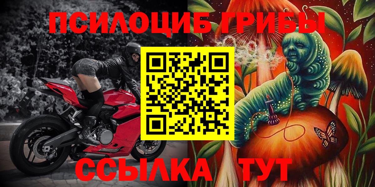 Шали  Галлюциногенные грибы Cubensis  Вход с VPN 